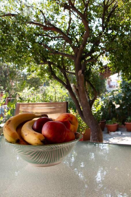 Helen'S Home Μηλιά Εξωτερικό φωτογραφία